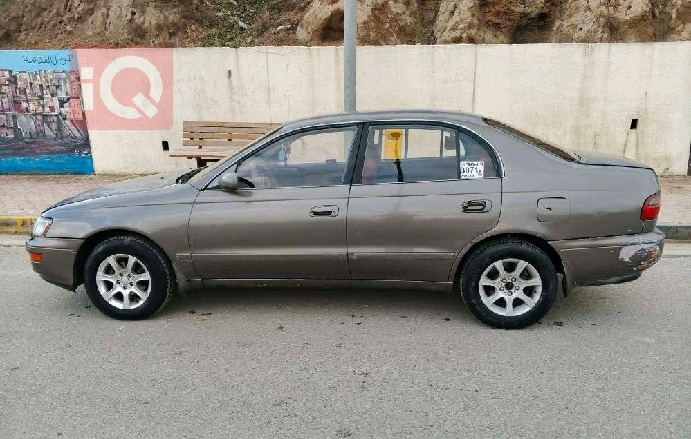 تويوتا كورونا